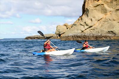 Kayak Hire and Guided Tours (Pastora Tours)